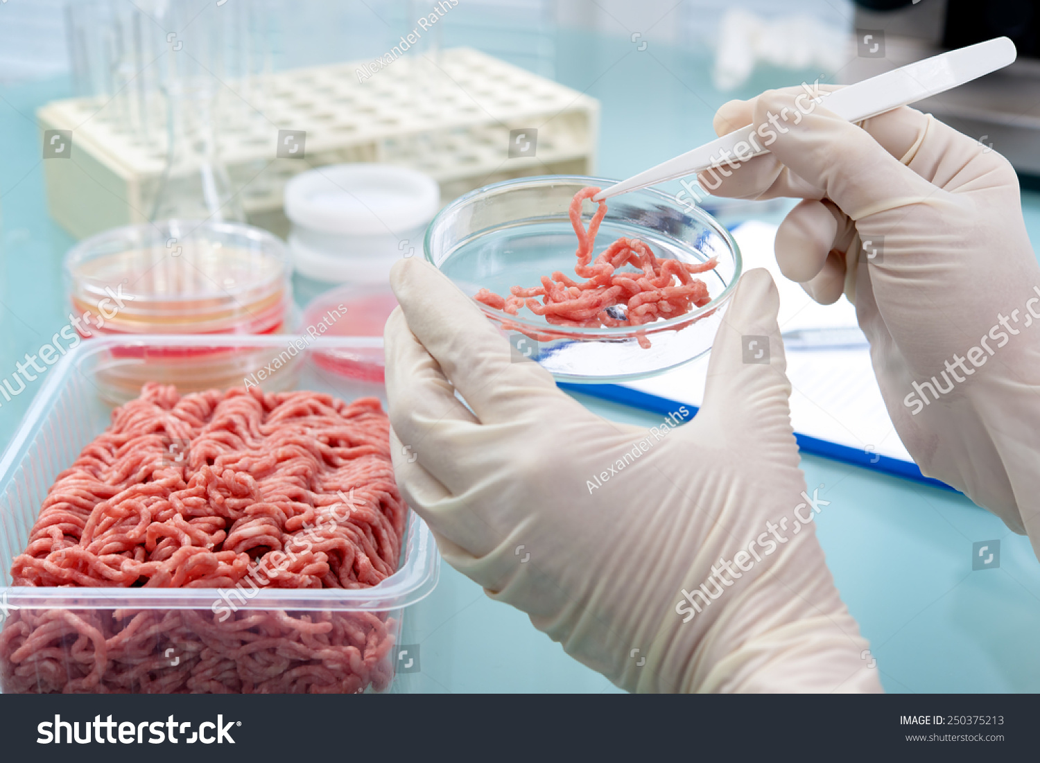stock-photo-food-quality-control-expert-inspecting-at-meat-specimen-in-the-laboratory-250375213_testing-view